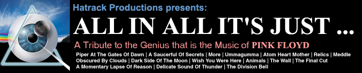 All In All Its Just is the PREMIER Pink Floyd tribute band in Canada